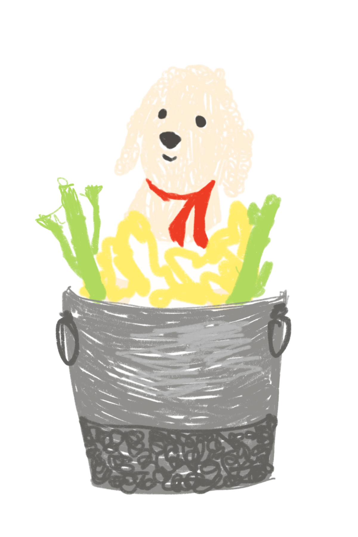 A drawing of a poodle in a silver bucket, dressed as chicken poodle soup