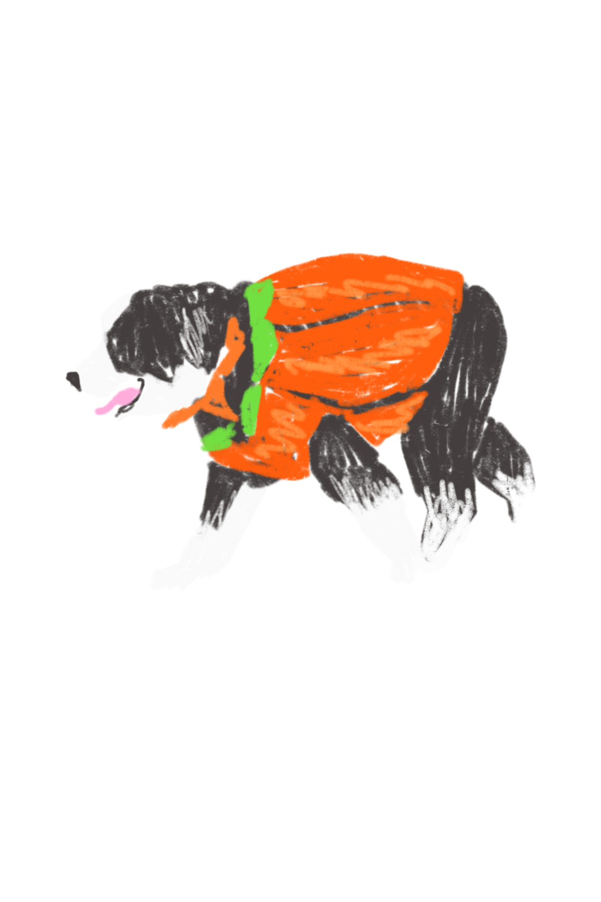 A drawing of a puppy dressed as a pumpkin.