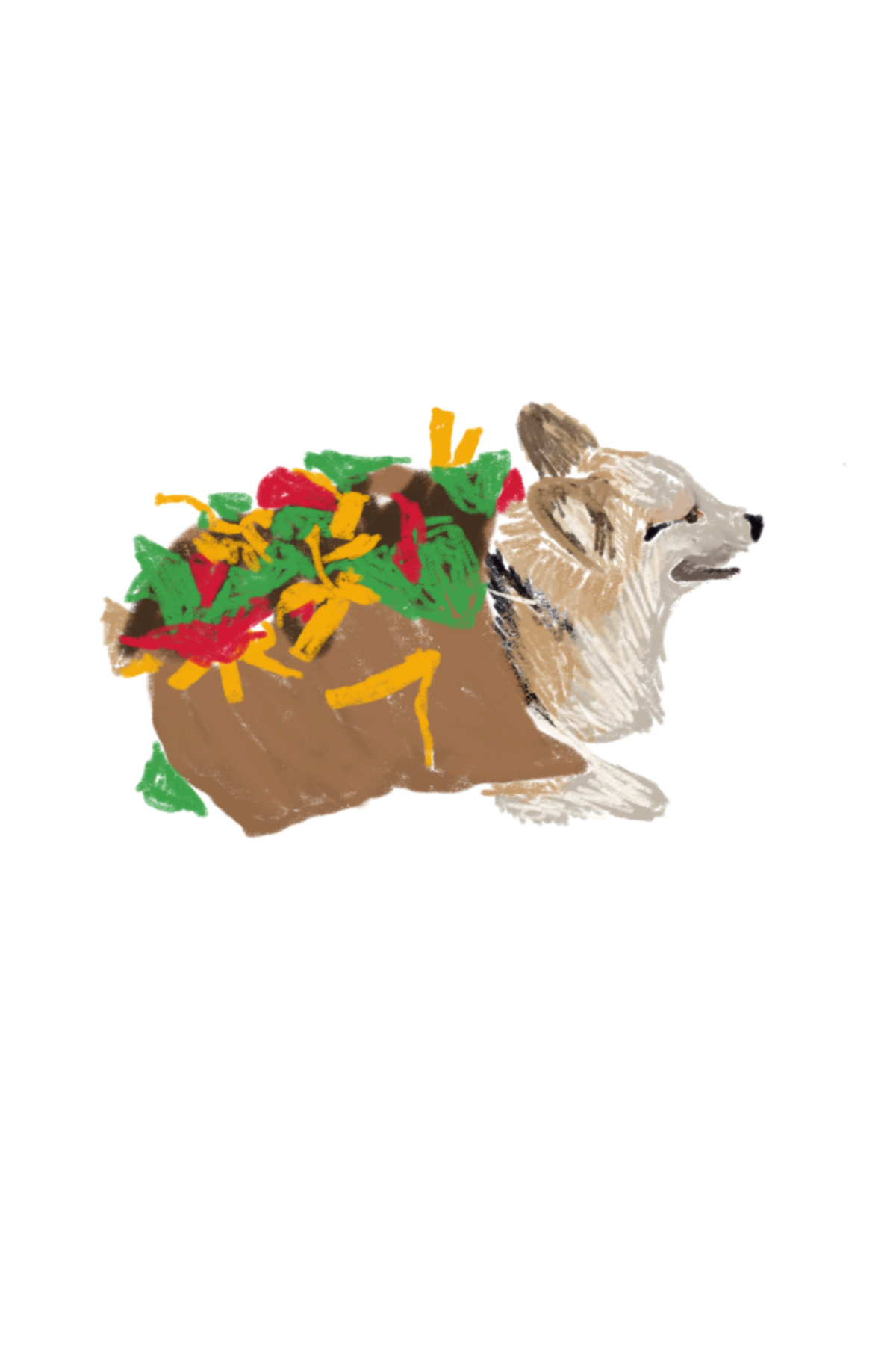 A drawing of a very cute corgi dressed as a taco.