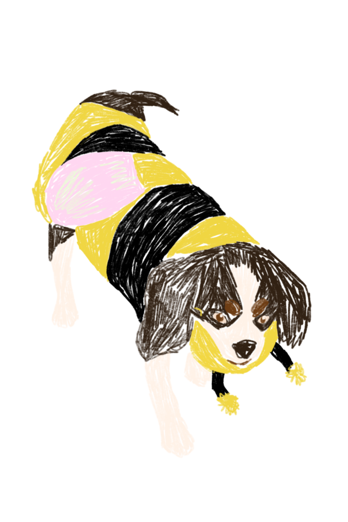 A drawing of a dog dressed as a bee. There is a hood and wings on the costume.