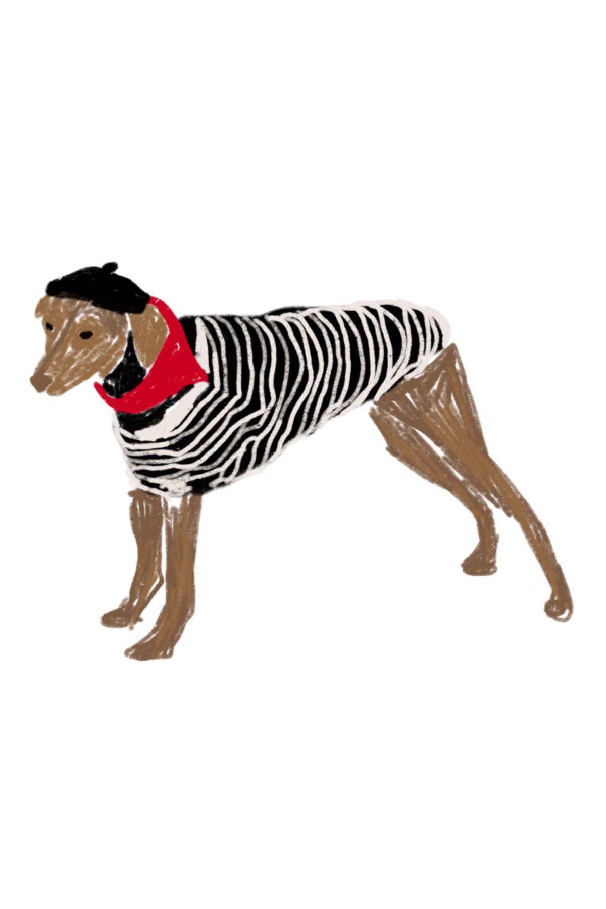 A dog dressed as a stereotypical French man, with a black and white striped top, a beret and a red bandana around its neck.