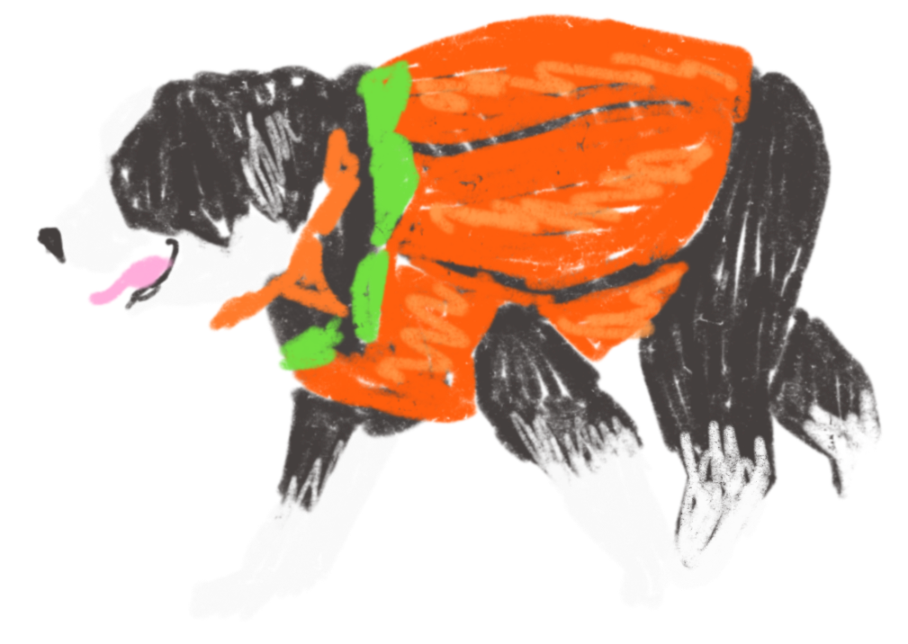 A drawing of a puppy dressed as a pumpkin.