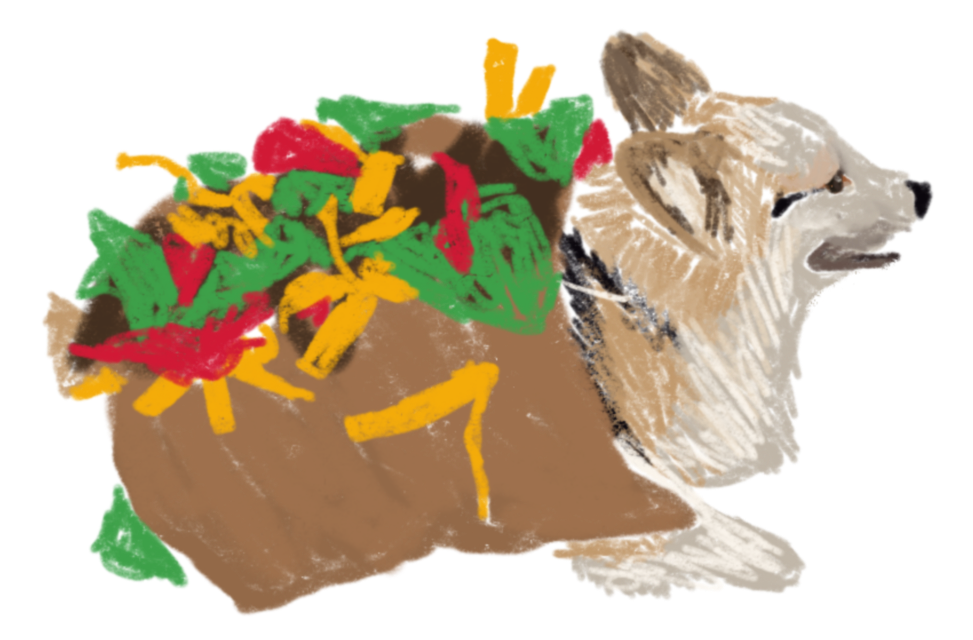 A drawing of a very cute corgi dressed as a taco.