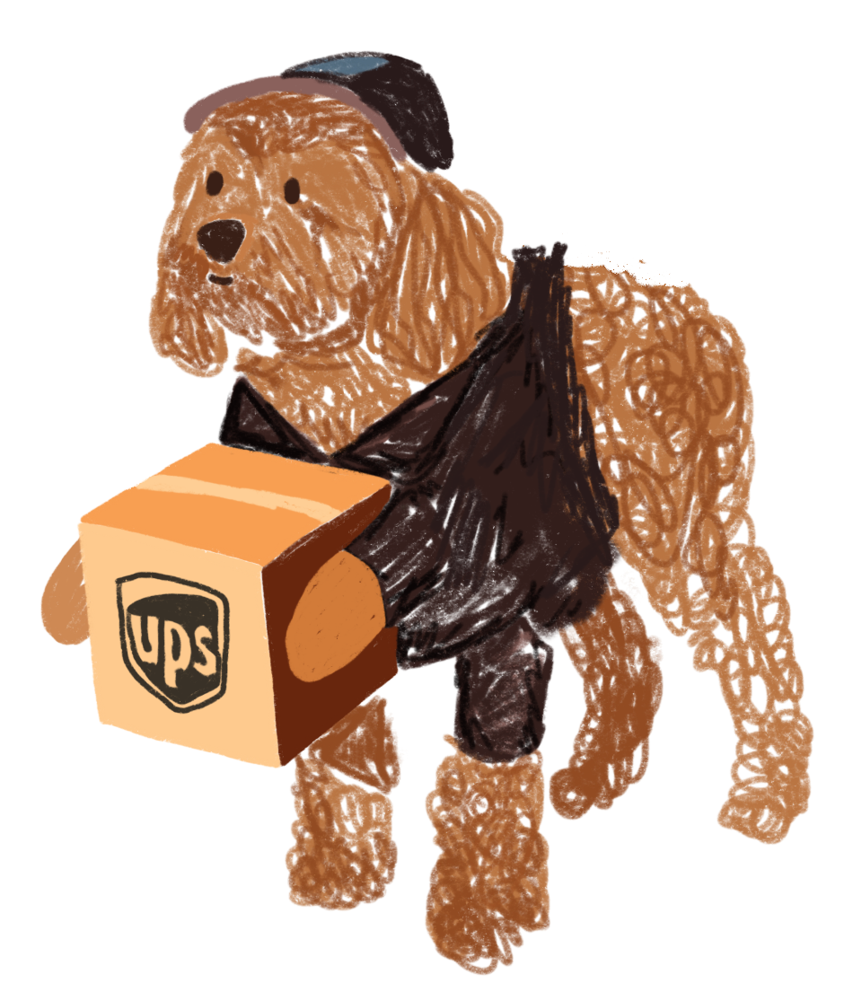 A brown poodle dressed as a UPS delivery person with fake hands and a fake package.