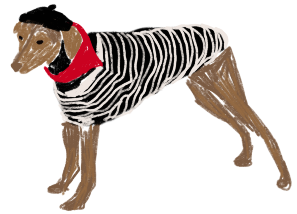 A dog dressed as a stereotypical French man, with a black and white striped top, a beret and a red bandana around its neck.